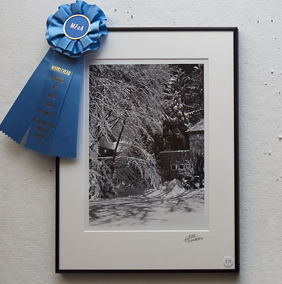 Senior Art, Festival 2001.
