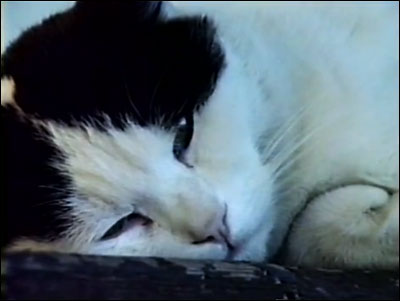 Scene from "Wanda".