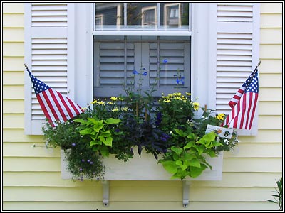 Mary Pat Reichheld's window box.