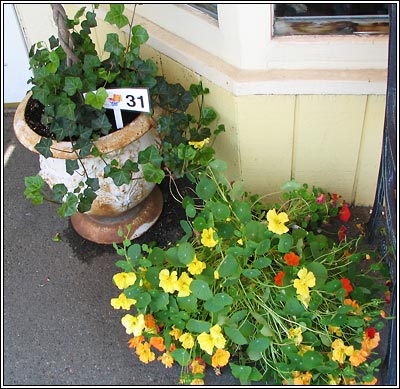 Java Sun's entranceway.